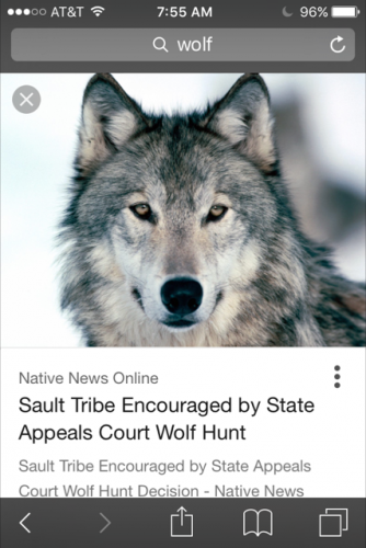 stolen wolf.png